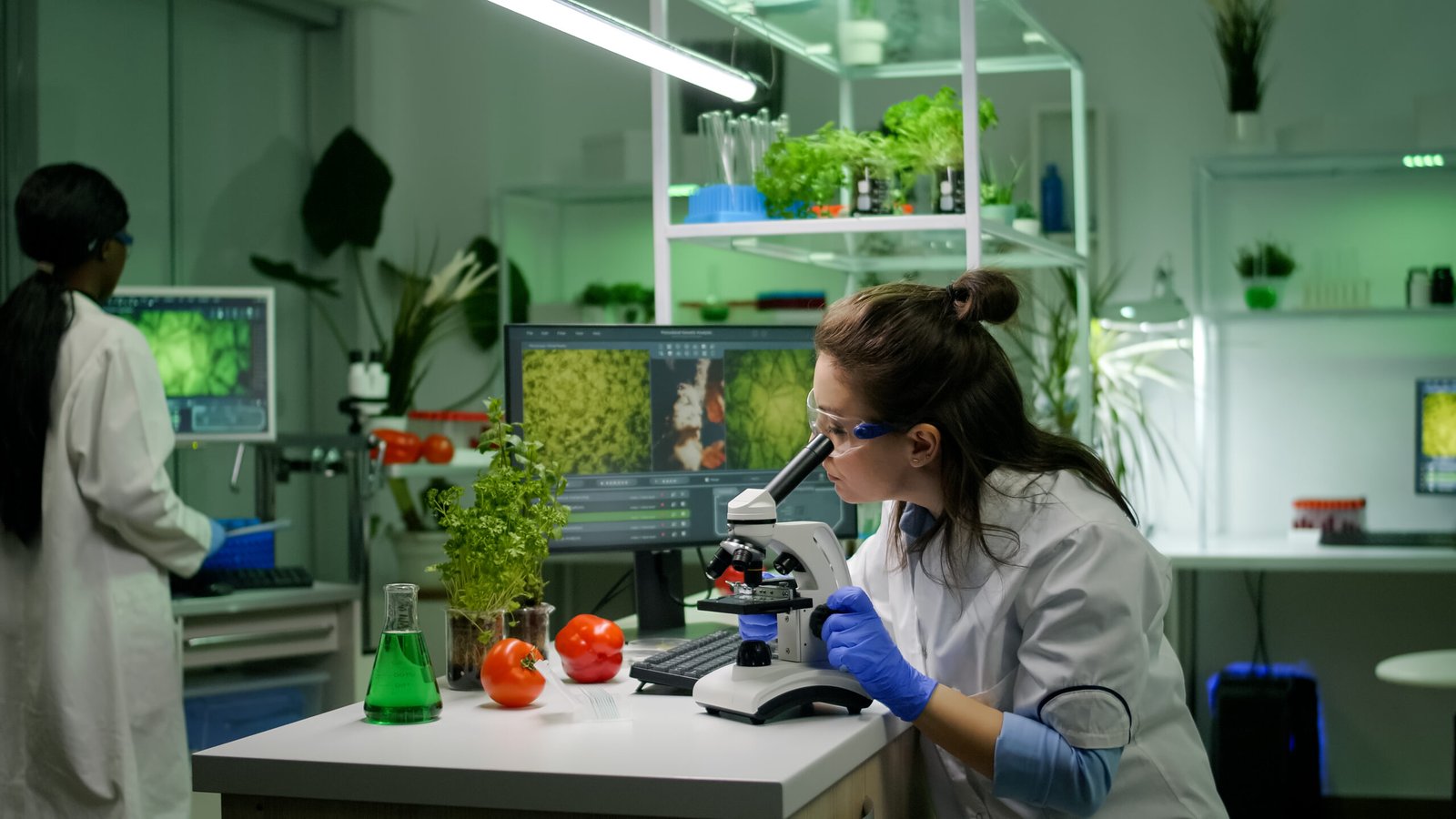 the image is about the manufacturing unit of gratia pharma